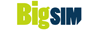 BigSIM